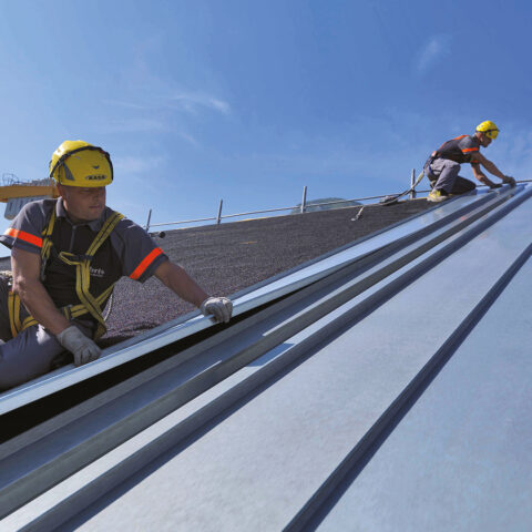 Zintek-Academy-Lattonieri