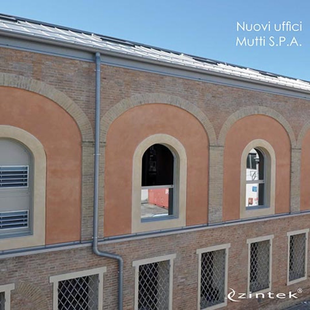 Zintek - Monografia Mutti